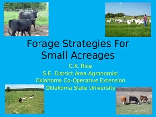 Forage Strategies For
Small Acreages
C.K. Rice
S.E. District Area Agronomist
Oklahoma Co-Operative Extension
Oklahoma State University
 