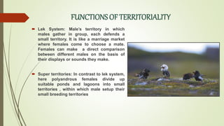 FUNCTIONS OF TERRITORIALITY
 Lek System: Male’s territory in which
males gather in group, each defends a
small territory. It is like a marriage market
where females come to choose a mate.
Females can make a direct comparison
between different males on the basis of
their displays or sounds they make.
 Super territories: In contrast to lek system,
here polyandrous females divide up
suitable ponds and lagoons into small
territories , within which male setup their
small breeding territories
 