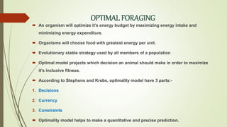 OPTIMAL FORAGING
 An organism will optimize it’s energy budget by maximizing energy intake and
minimizing energy expenditure.
 Organisms will choose food with greatest energy per unit.
 Evolutionary stable strategy used by all members of a population
 Optimal model projects which decision an animal should make in order to maximize
it’s inclusive fitness.
 According to Stephens and Krebs, optimality model have 3 parts:-
1. Decisions
2. Currency
3. Constraints
 Optimality model helps to make a quantitative and precise prediction.
 