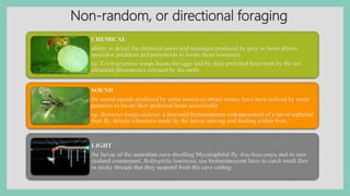 Non-random, or directional foraging
CHEMICAL
ability to detect the chemical odors and messages produced by prey or hosts allows
specialist predators and parasitoids to locate these resources.
eg. Trichogramma wasps locate the eggs laid by their preferred host moth by the sex
attractant pheromones released by the moth
SOUND
the sound signals produced by some insects to attract mates, have been utilized by some
parasites to locate their preferred hosts acoustically
eg. Biosteres longicaudatus, a braconid hymenopteran endoparasitoid of a larval tephritid
fruit fly, detects vibrations made by the larvae moving and feeding within fruit.
 