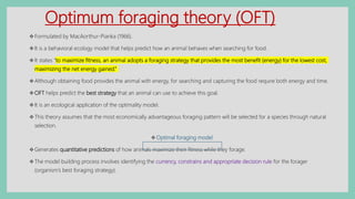 Optimum foraging theory (OFT)
Formulated by MacAorthur-Pianka (1966).
It is a behavioral ecology model that helps predict how an animal behaves when searching for food.
It states “to maximize fitness, an animal adopts a foraging strategy that provides the most benefit (energy) for the lowest cost,
maximizing the net energy gained.”
Although obtaining food provides the animal with energy, for searching and capturing the food require both energy and time.
OFT helps predict the best strategy that an animal can use to achieve this goal.
It is an ecological application of the optimality model.
This theory assumes that the most economically advantageous foraging pattern will be selected for a species through natural
selection.
Optimal foraging model
Generates quantitative predictions of how animals maximize their fitness while they forage.
The model building process involves identifying the currency, constrains and appropriate decision rule for the forager
(organism’s best foraging strategy).
 