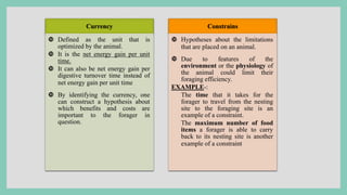 Currency
 Defined as the unit that is
optimized by the animal.
 It is the net energy gain per unit
time.
 It can also be net energy gain per
digestive turnover time instead of
net energy gain per unit time
 By identifying the currency, one
can construct a hypothesis about
which benefits and costs are
important to the forager in
question.
Constrains
 Hypotheses about the limitations
that are placed on an animal.
 Due to features of the
environment or the physiology of
the animal could limit their
foraging efficiency.
EXAMPLE-:
The time that it takes for the
forager to travel from the nesting
site to the foraging site is an
example of a constraint.
The maximum number of food
items a forager is able to carry
back to its nesting site is another
example of a constraint
 
