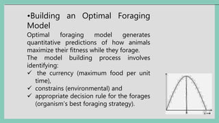 •Building an Optimal Foraging
Model
Optimal foraging model generates
quantitative predictions of how animals
maximize their fitness while they forage.
The model building process involves
identifying:
 the currency (maximum food per unit
time),
 constrains (environmental) and
 appropriate decision rule for the forages
(organism’s best foraging strategy).
 