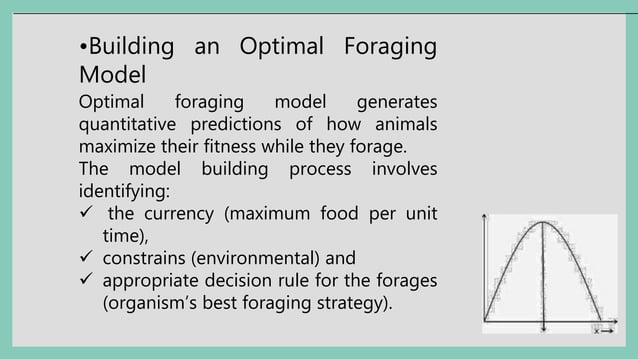 Foraging ecology- Optimal Foraging Theory.pptx