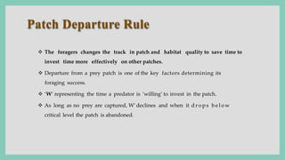 Patch Departure Rule
 The foragers changes the track in patch and habitat quality to save time to
invest time more effectively on other patches.
 Departure from a prey patch is one of the key factors determining its
foraging success.
 ‘W’ representing the time a predator is ‘willing’ to invest in the patch.
 As long as no prey are captured, W’ declines and when it d r o p s b e l o w
critical level the patch is abandoned.
 