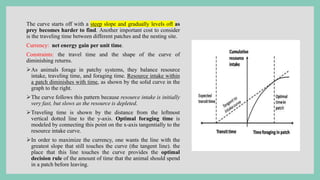 The curve starts off with a steep slope and gradually levels off as
prey becomes harder to find. Another important cost to consider
is the traveling time between different patches and the nesting site.
Currency: net energy gain per unit time.
Constraints: the travel time and the shape of the curve of
diminishing returns.
As animals forage in patchy systems, they balance resource
intake, traveling time, and foraging time. Resource intake within
a patch diminishes with time, as shown by the solid curve in the
graph to the right.
The curve follows this pattern because resource intake is initially
very fast, but slows as the resource is depleted.
Traveling time is shown by the distance from the leftmost
vertical dotted line to the y-axis. Optimal foraging time is
modeled by connecting this point on the x-axis tangentially to the
resource intake curve.
In order to maximize the currency, one wants the line with the
greatest slope that still touches the curve (the tangent line). the
place that this line touches the curve provides the optimal
decision rule of the amount of time that the animal should spend
in a patch before leaving.
 