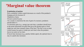 'Marginal value theorem
Exploitation of patches
Prey availability within a patch decreases as a result of the predator's
foraging activity because of:
•Depletion of prey
•Evasive action by prey
•As a result, to maximize the rate of gain of a resource, predators
should follow it
To maximize gain (e.g., energy) per unit time, a predator should leave
at the point (maximum net gain) that gives the greatest gain or food
intake per unit time (steepest slope of the line). The line is not as steep
(which means less gain or intake per unit time) when the predator
leaves too early (or too late).
If travel time increases (e.g., patches further apart), the optimal time to
stay in a patch also increases:
 