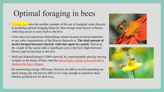 Optimal foraging in bees
◦ Worker bees provide another example of the use of marginal value theorem
in modeling optimal foraging behavior. Bees forage from flower to flower
collecting nectar to carry back to the hive
◦ A bee does not experience diminishing returns because of nectar depletion
or any other characteristic of the flowers themselves. The total amount of
nectar foraged increases linearly with time spent in a patch. However,
the weight of the nectar adds a significant cost to the bee's flight between
flowers and its trip back to the hive.
◦ Wolf and Schmid-hempel (1989) showed, by experimentally placing varying
weights on the backs of bees, that the cost of heavy nectar is so great that it
shortens the bees lifespan.
◦ By maximizing energy efficiency, the bees are able to avoid expending too
much energy per trip and are able to live long enough to maximize their
lifetime productivity for their hive.
 