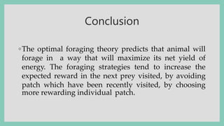 Conclusion
◦The optimal foraging theory predicts that animal will
forage in a way that will maximize its net yield of
energy. The foraging strategies tend to increase the
expected reward in the next prey visited, by avoiding
patch which have been recently visited, by choosing
more rewarding individual patch.
 