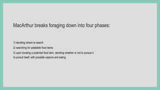 MacArthur breaks foraging down into four phases:
1) deciding where to search
2) searching for palatable food items
3) upon locating a potential food item, deciding whether or not to pursue it
4) pursuit itself, with possible capture and eating
 
