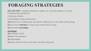 FORAGING STRATEGIES
SIT AND WAIT : conditions required to support a sit- and-wait strategy (1 or more)
1) relatively high prey density
2) high prey mobility
3) low predator energy requirements
Predators find a suitable patch and wait for mobile prey to come within striking range.
They remain motionless in order to be unobserved by its prey
Some shows camouflage
Advantages:
less energy is spent
hidden from predators
Disadvantages:
need to wait for food to come and it may take a long time
 