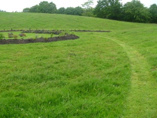 Foraging spiral   everton park 08 06-12