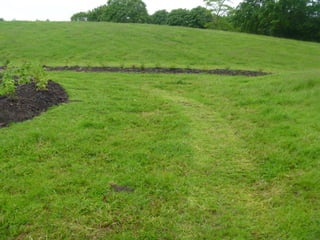 Foraging spiral   everton park 08 06-12
