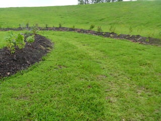 Foraging spiral   everton park 08 06-12