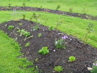 Foraging spiral   everton park 08 06-12