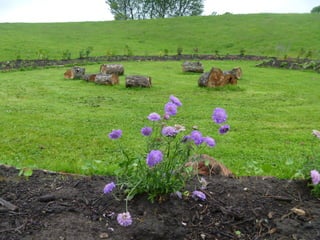 Foraging spiral   everton park 08 06-12