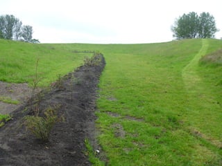 Foraging spiral   everton park 08 06-12