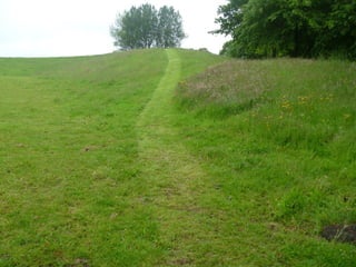 Foraging spiral   everton park 08 06-12