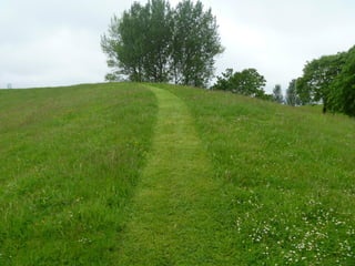 Foraging spiral   everton park 08 06-12