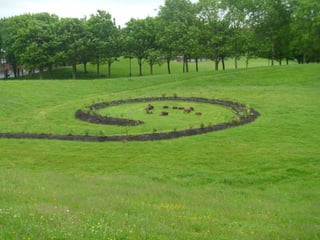 Foraging spiral   everton park 08 06-12