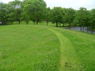 Foraging spiral   everton park 08 06-12
