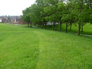 Foraging spiral   everton park 08 06-12