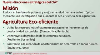 CIAT  Trabajando en red con los miembros de FORAGRO, para el fortalecimiento de la ciencia, la tecnología y la innovación agrícola en América Latina y el Caribe