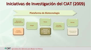 CIAT  Trabajando en red con los miembros de FORAGRO, para el fortalecimiento de la ciencia, la tecnología y la innovación agrícola en América Latina y el Caribe