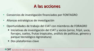CIAT  Trabajando en red con los miembros de FORAGRO, para el fortalecimiento de la ciencia, la tecnología y la innovación agrícola en América Latina y el Caribe