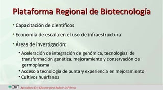 CIAT  Trabajando en red con los miembros de FORAGRO, para el fortalecimiento de la ciencia, la tecnología y la innovación agrícola en América Latina y el Caribe
