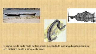 E pague-se de cada rede de lampreias de condado por ano duas lampreias e
em dinheiro cento e cinquenta reais.
 