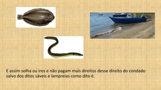 E assim solha ou ires e não pagam mais direitos desse direito do condado
salvo dos ditos sáveis e lampreias como dito é.
 