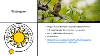 Näktergalen
• Projekt mellan KAU och skolor i Karlstads kommun
• 3-5 elever i grupp får en mentor – en student
• Hittar på kul saker tillsammans.
• Kostnadsfritt.
• https://www.kau.se/samverkan/samhallsengagema
ng/samarbeten/projekt-naktergalen
Det här fotot av Okänd författare är licensierat enligt CC BY-NC-ND.
 