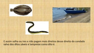 E assim solha ou ires e não pagam mais direitos desse direito do condado
salvo dos ditos sáveis e lampreias como dito é.
 