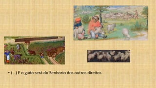 • (…) E o gado será do Senhorio dos outros direitos.
 