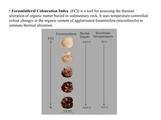 • Foraminiferal Colouration Index (FCI) is a tool for assessing the thermal
alteration of organic matter buried in sedimentary rock. It uses temperature-controlled
colour changes in the organic cement of agglutinated foraminifera (microfossils) to
estimate thermal alteration.
 