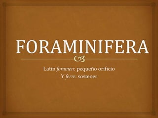 Latin foramen: pequeño orificio
Y ferre: sostener

 