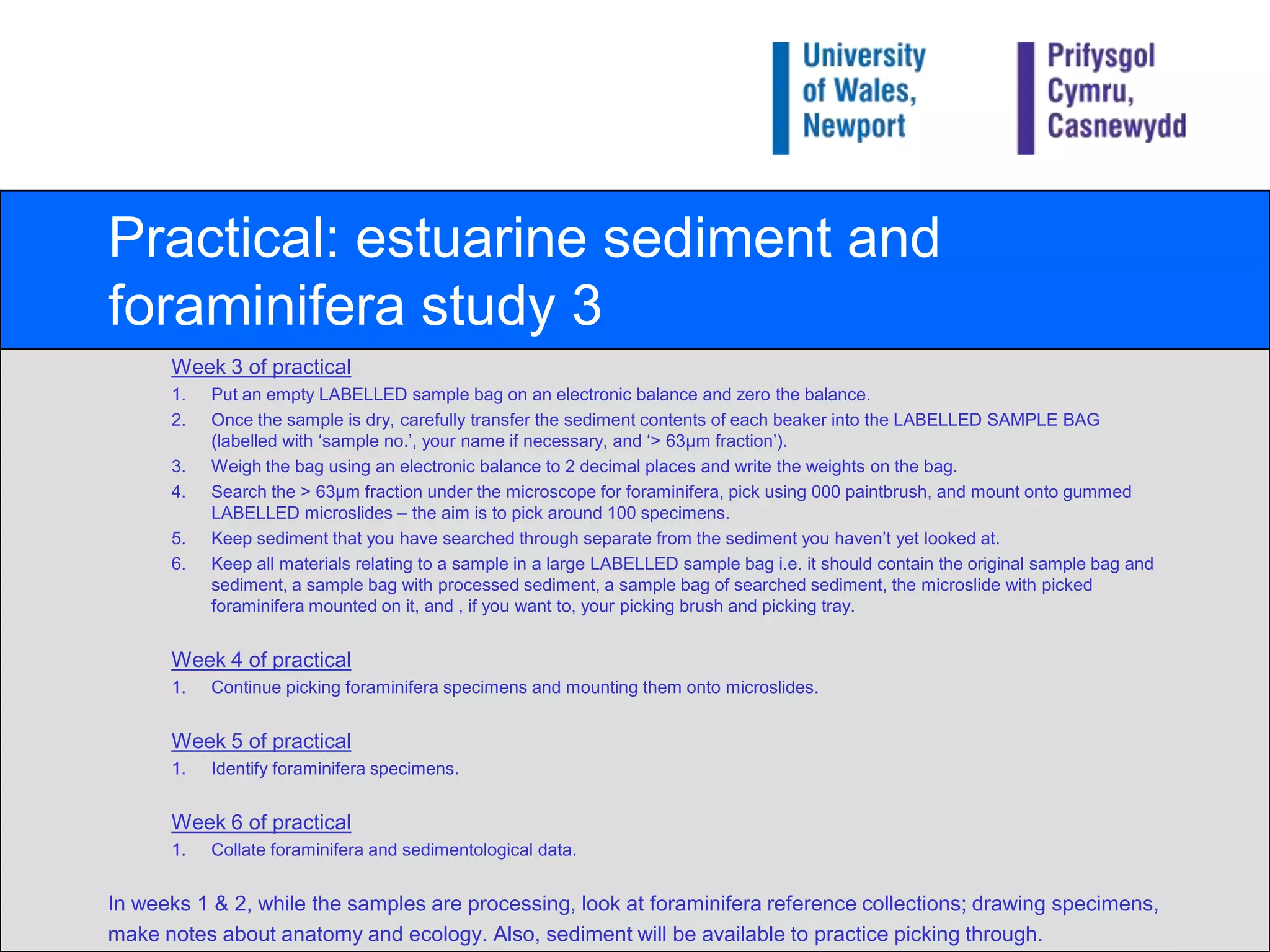 Practical: estuarine sediment and foraminifera study 3Week 3 of practicalPut an empty LABELLED sample bag on an electronic balance and zero the balance.Once the sample is dry, carefully transfer the sediment contents of each beaker into the LABELLED SAMPLE BAG (labelled with ‘sample no.’, your name if necessary, and ‘> 63μm fraction’).Weigh the bag using an electronic balance to 2 decimal places and write the weights on the bag.Search the > 63μm fraction under the microscope for foraminifera, pick using 000 paintbrush, and mount onto gummed LABELLED microslides – the aim is to pick around 100 specimens.Keep sediment that you have searched through separate from the sediment you haven’t yet looked at.Keep all materials relating to a sample in a large LABELLED sample bag i.e. it should contain the original sample bag and sediment, a sample bag with processed sediment, a sample bag of searched sediment, the microslide with picked foraminifera mounted on it, and , if you want to, your picking brush and picking tray.Week 4 of practicalContinue picking foraminifera specimens and mounting them onto microslides.Week 5 of practicalIdentify foraminifera specimens.Week 6 of practicalCollate foraminifera and sedimentological data.In weeks 1 & 2, while the samples are processing, look at foraminifera reference collections; drawing specimens,make notes about anatomy and ecology. Also, sediment will be available to practice picking through.
