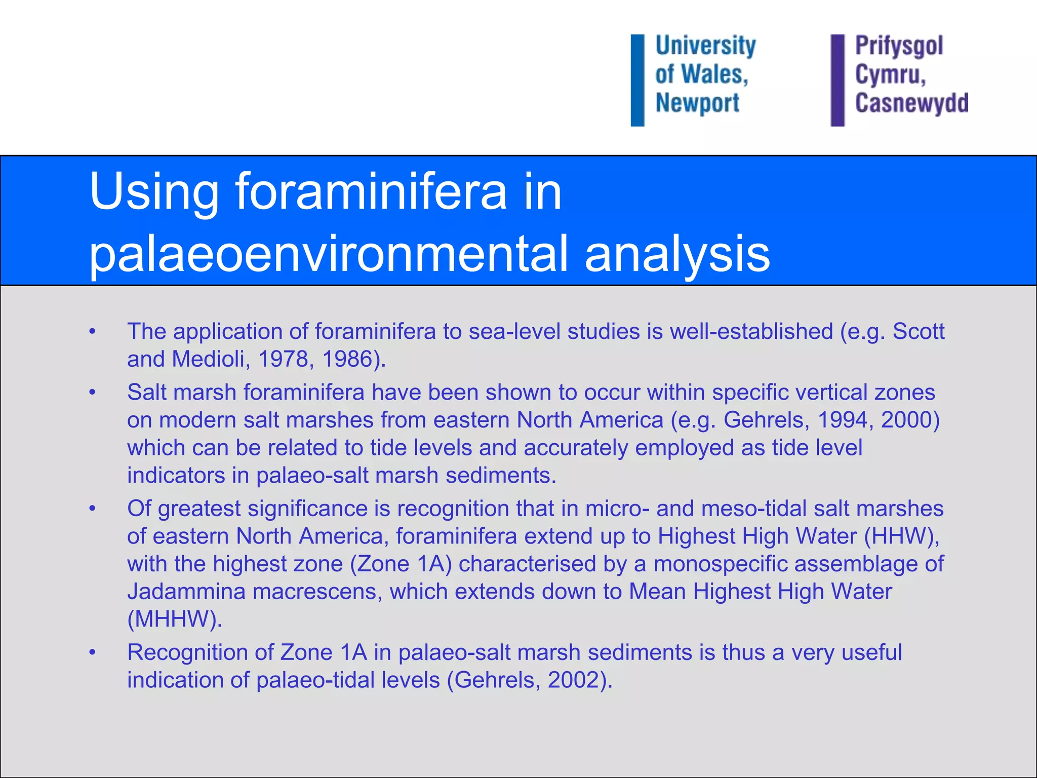 Using foraminifera in palaeoenvironmental analysisThe application of foraminifera to sea-level studies is well-established (e.g. Scott and Medioli, 1978, 1986).Salt marsh foraminifera have been shown to occur within specific vertical zones on modern salt marshes from eastern North America (e.g. Gehrels, 1994, 2000) which can be related to tide levels and accurately employed as tide level indicators in palaeo-salt marsh sediments.Of greatest significance is recognition that in micro- and meso-tidal salt marshes of eastern North America, foraminifera extend up to Highest High Water (HHW), with the highest zone (Zone 1A) characterised by a monospecific assemblage of Jadamminamacrescens, which extends down to Mean Highest High Water (MHHW).Recognition of Zone 1A in palaeo-salt marsh sediments is thus a very useful indication of palaeo-tidal levels (Gehrels, 2002).