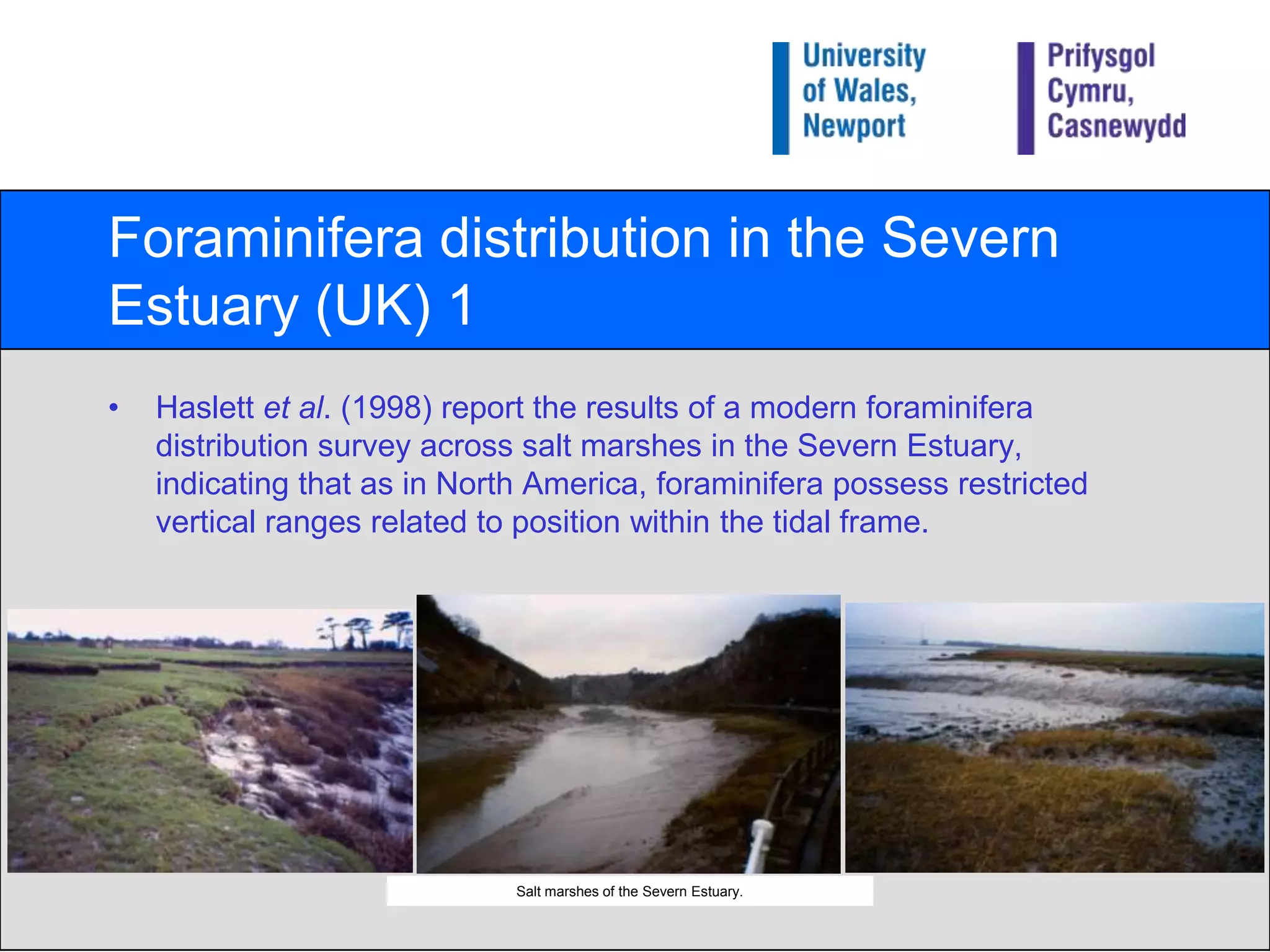 Foraminifera distribution in the Severn Estuary (UK) 1Haslett et al. (1998) report the results of a modern foraminifera distribution survey across salt marshes in the Severn Estuary, indicating that as in North America, foraminifera possess restricted vertical ranges related to position within the tidal frame.Salt marshes of the Severn Estuary.
