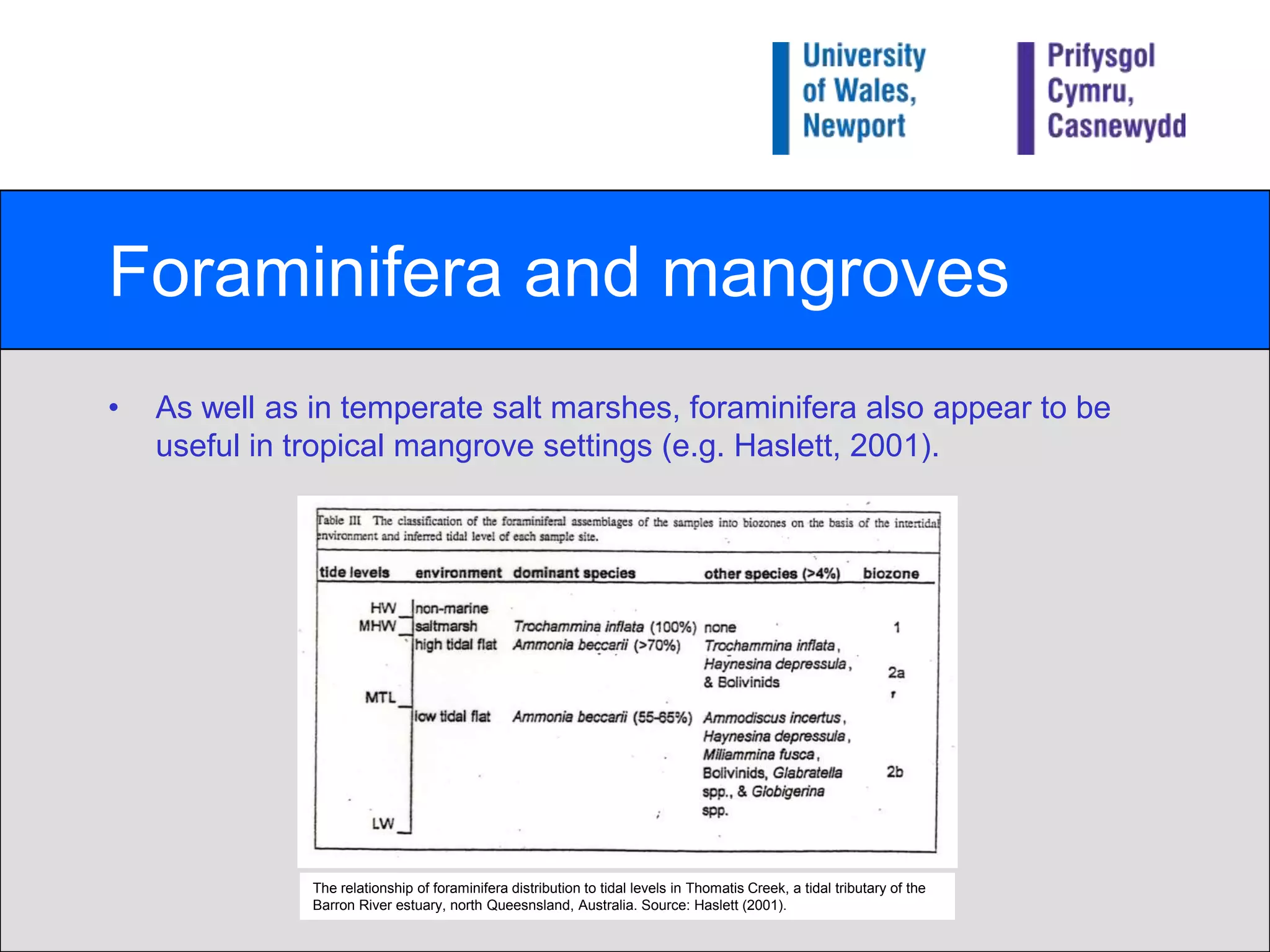 Foraminifera and mangrovesAs well as in temperate salt marshes, foraminifera also appear to be useful in tropical mangrove settings (e.g. Haslett, 2001).The relationship of foraminifera distribution to tidal levels in Thomatis Creek, a tidal tributary of the Barron River estuary, north Queesnsland, Australia. Source: Haslett (2001). 