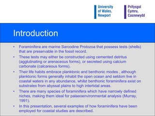 IntroductionForaminifera are marine Sarcodine Protozoa that possess tests (shells) that are preservable in the fossil record.These tests may either be constructed using cemented detritus (agglutinating or arenaceous forms), or secreted using calcium carbonate (calcareous forms).Their life habits embrace planktonic and benthonic modes , although planktonic forms generally inhabit the open ocean and seldom live in coastal waters in any abundance, whilst benthonic foraminifera exist on substrates from abyssal plains to high intertidal areas.There are many species of foraminifera which have narrowly defined niches, making them ideal for palaeoenvironmental analysis (Murray, 1991).In this presentation, several examples of how foraminifera have been employed for coastal studies are described.