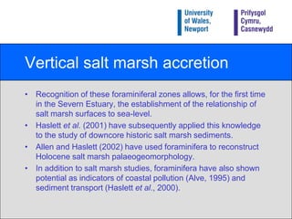 Vertical salt marsh accretionRecognition of these foraminiferal zones allows, for the first time in the Severn Estuary, the establishment of the relationship of salt marsh surfaces to sea-level.Haslett et al. (2001) have subsequently applied this knowledge to the study of downcore historic salt marsh sediments.Allen and Haslett (2002) have used foraminifera to reconstruct Holocene salt marsh palaeogeomorphology.In addition to salt marsh studies, foraminifera have also shown potential as indicators of coastal pollution (Alve, 1995) and sediment transport (Haslett et al., 2000).