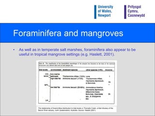 Foraminifera and mangrovesAs well as in temperate salt marshes, foraminifera also appear to be useful in tropical mangrove settings (e.g. Haslett, 2001).The relationship of foraminifera distribution to tidal levels in Thomatis Creek, a tidal tributary of the Barron River estuary, north Queesnsland, Australia. Source: Haslett (2001). 