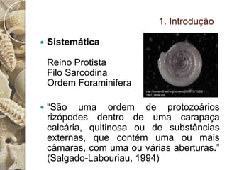 1. Introdução

   Sistemática

    Reino Protista
    Filo Sarcodina
    Ordem Foraminifera
                                http://content8.eol.org/content/2008/12/10/22/1
                         http://www.cmarz.org/CMarZ_RHBrown_April06/images/animal_pho
                                1967_large.jpg
                         tos/Globorotalia%20truncatulinoides.jpg




   “São uma ordem de protozoários
    rizópodes dentro de uma carapaça
    calcária, quitinosa ou de substâncias
    externas, que contém uma ou mais
    câmaras, com uma ou várias aberturas.”
    (Salgado-Labouriau, 1994)
 