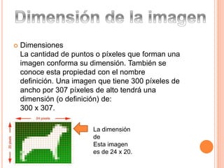  Dimensiones 
La cantidad de puntos o píxeles que forman una 
imagen conforma su dimensión. También se 
conoce esta propiedad con el nombre 
definición. Una imagen que tiene 300 píxeles de 
ancho por 307 píxeles de alto tendrá una 
dimensión (o definición) de: 
300 x 307. 
La dimensión 
de 
Esta imagen 
es de 24 x 20. 
 