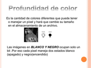 Es la cantidad de colores diferentes que puede tener 
o manejar un píxel y hará que cambie su tamaño 
en el almacenamiento de un archivo. 
Las imágenes en BLANCO Y NEGRO ocupan solo un 
bit .Por eso cada pixel maneja dos estados blanco 
(apagado) y negro(encendido) 
 