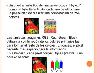  Un píxel en este tipo de imágenes ocupa 1 byte. Y 
como un byte tiene 8 bits, cada uno de ellos tiene 
la posibilidad de realizar una combinación de 256 
colores. 
Las llamadas imágenes RGB (Red, Green, Blue) 
utilizan la combinación de los colores primarios luz 
para formar el resto de los colores. Entonces, el píxel 
necesita más espacio para la información. 
En este caso, cada píxel ocupa 3 bytes (24 bits), uno 
para cada color. 
 