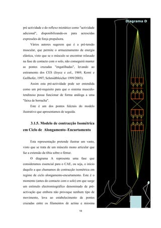 19
pré actividade e do reflexo miotático como "actividade
adicional", disponibilizando-os para acrescidas
expressões de força propulsora.
Vários autores sugerem que é a pré-tensão
muscular, que permite o armazenamento de energia
elástica, visto que se o músculo se encontrar relaxado
na fase de contacto com o solo, não conseguirá manter
as pontes cruzadas "engatilhadas", levando ao
estiramento dos CES (Joyce e col., 1969; Komi e
Gollhofer, 1997; Schmidtbleicher 1999/2003).
Assim esta pré-actividade pode ser entendida
como um pré-requisito para que o sistema musculo-
tendinoso possa funcionar de forma análoga a uma
"faixa de borracha".
Este é um dos pontos fulcrais do modelo
ilustrativo que apresentamos de seguida.
3.1.5. Modelo de contracção Isométrica
em Ciclo de Alongamento–Encurtamento
Esta representação pretende ilustrar um vasto,
visto que se trata de um músculo mono articular que
faz a extensão da tíbia sobre o fémur.
O diagrama A representa uma fase que
consideramos essencial para o CAE, ou seja, o início
daquilo a que chamamos de contracção isométrica em
regime de ciclo alongamento-encurtamento. Este é o
momento (antes do contacto com o solo) em que surge
um estímulo electromiográfico denominado de pré-
activação que embora não provoque nenhum tipo de
movimento, leva ao estabelecimento de pontes
cruzadas entre os filamentos de actina e miosina
Diagrama D
T = 100 ms
 