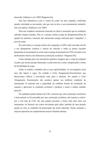 22
fascicular. (Ishikawa e col. 2005) Diagrama Ea).
Esta fase identifica-se com o “cortar da corda” de uma catapulta, conferindo
grande velocidade ao movimento, sem que esse se deva a um encurtamento contráctil,
mas sim elástico. (Ishikawa e col. 2005)
Para este complexo mecanismo muscular ter efeito é necessário que as condições
referidas estejam reunidas. Pois se a energia cinética (carga de alongamento/altura da
queda) for reduzida o músculo não armazenará energia suficiente para “catapultar” o
peso do corpo.
Por outro lado se a energia cinética for exagerada, os OTG serão activados devido
a um alongamento contínuo e intenso do músculo e todas as pontes cruzadas
desprender-se-ão perdendo-se assim toda a energia armazenada nos CES e levando a um
deslizamento efectivo dos filamentos (contracção excêntrica - Diagrama Eb).
Como analogia para este mecanismo podemos imaginar que a verga da catapulta
se parte, por termos puxado demasiado a corda antes de a cortar, ultrapassando o limiar
de flexibilidade da verga.
Todos os estudos e trabalhos têm as suas especificidades. As investigações nesta
área não fogem à regra. Na verdade o Ciclo Alongamento-Encurtamento que
descrevemos reflecte o movimento mais puro e eficiente. No entanto o Ciclo
Alongamento Encurtamento não acontece apenas nas melhores condições de
potenciação. O músculo tem a capacidade de combinar formas de contracção de
maneira a aproveitar as condições existentes e produzir o maior e melhor trabalho
possível.
Na realidade quando falamos de CAE e dizemos que uma contracção concêntrica
é mais potente se for precedida por uma contracção excêntrica, não estamos a referir-
nos a este tipo de CAE. Ou seja quando puxamos o braço atrás para fazer um
lançamento, ou fazemos um contra movimento para saltar, partindo de uma posição
parada no solo, as condições de potenciação são muito reduzidas. Nestas situações o
músculo apresenta um comportamento reactivo bastante distinto.
 